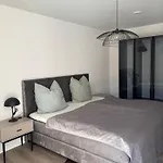 Apartment Moderne